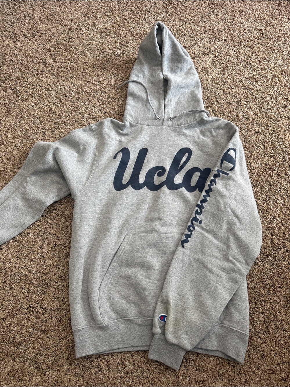 UCLA Chanpion sweatshirt